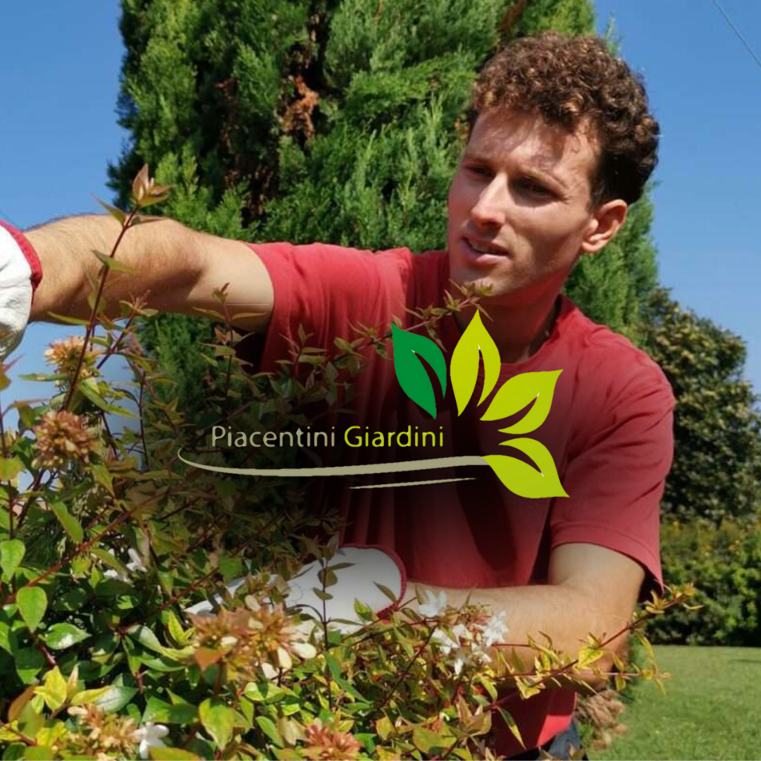 Copertina caso studio Piacentini Giardini