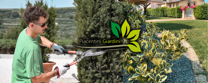 piacentini giardini